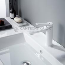 Смеситель для раковины Shevanik S4301C