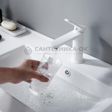 Смеситель для раковины Shevanik S4301C