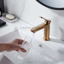Смеситель для раковины Shevanik S4301G