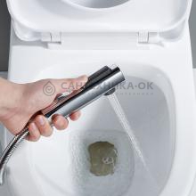 Смеситель с гигиеническим душем Shevanik S4305-1