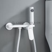 Смеситель с гигиеническим душем Shevanik S4305C-1