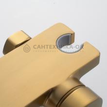 Смеситель с гигиеническим душем Shevanik S4305G-1