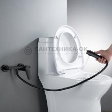 Смеситель с гигиеническим душем Shevanik S4305H-1