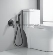 Смеситель с гигиеническим душем Shevanik S4305H