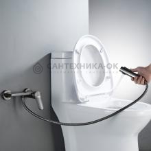 Смеситель с гигиеническим душем Shevanik S4305T-1