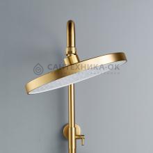 Душевая стойка Shevanik S4336G