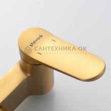 Душевая стойка Shevanik S4336G