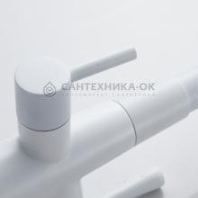 Смеситель для кухни Shevanik S528C