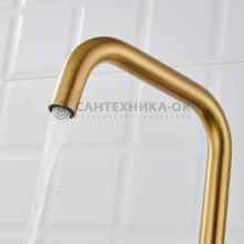 Смеситель для кухни Shevanik S528G