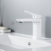 Смеситель для раковины Shevanik S4401C