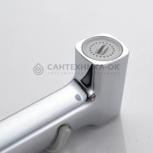 Смеситель с гигиеническим душем Shevanik S6805