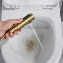 Смеситель с гигиеническим душем Shevanik S4005G-1