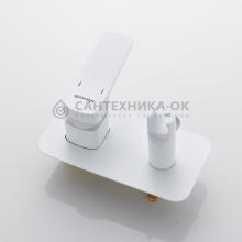 Смеситель с гигиеническим душем Shevanik S9905C