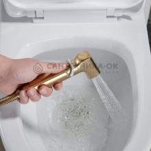 Смеситель с гигиеническим душем Shevanik S9905G