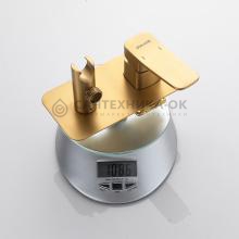 Смеситель с гигиеническим душем Shevanik S9905G