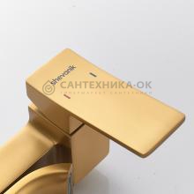 Душевая стойка Shevanik S4036G