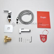 Смеситель с гигиеническим душем Raglo R01.52