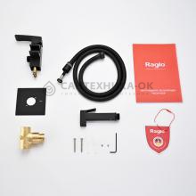 Смеситель с гигиеническим душем Raglo R01.52.06
