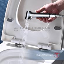 Смеситель с гигиеническим душем Raglo R03.51