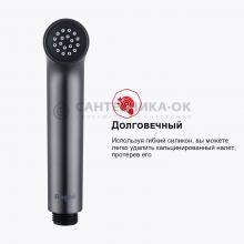 Смеситель с гигиеническим душем Raglo R03.52.09
