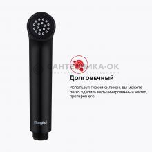 Смеситель с гигиеническим душем Raglo R03.53.06