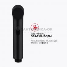 Смеситель с гигиеническим душем Raglo R03.53.06