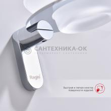 Мыльница Raglo R300.02