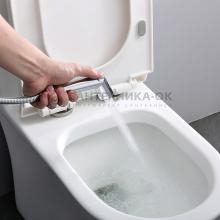 Смеситель с гигиеническим душем Raglo R23.56