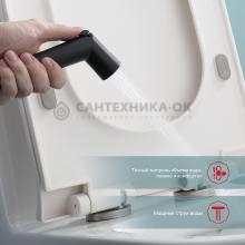 Смеситель с гигиеническим душем Raglo R23.56.06