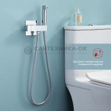 Смеситель с гигиеническим душем Raglo R24.56