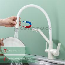 Смеситель для кухни Raglo R80.62.08