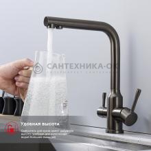 Смеситель для кухни Raglo R81.61.09