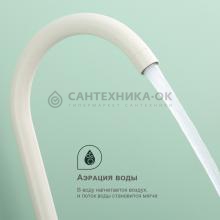 Смеситель для кухни Splenka S201.40.08