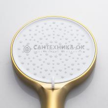 Душевой комплект Shevanik S4335G