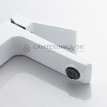 Смеситель для раковины Shevanik S4401C