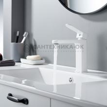 Смеситель для раковины Shevanik S4501C