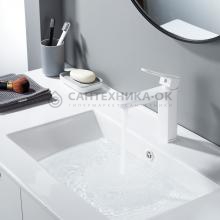 Смеситель для раковины Shevanik S4501C