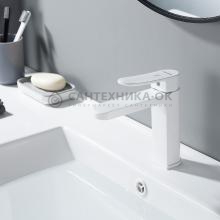 Смеситель для раковины Shevanik S4501C