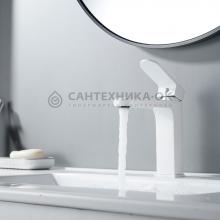 Смеситель для раковины Shevanik S4501C