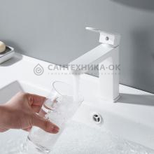 Смеситель для раковины Shevanik S4501C
