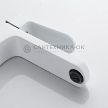 Смеситель для раковины Shevanik S4501C