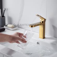 Смеситель для раковины Shevanik S4501G