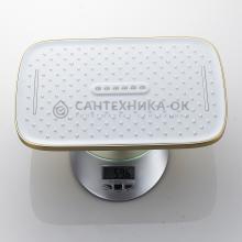 Душевая стойка Shevanik S4136G