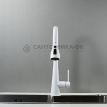 Смеситель для кухни Shevanik S363C