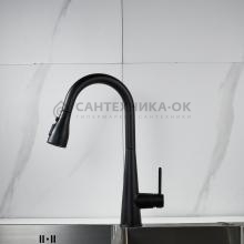 Смеситель для кухни Shevanik S363H