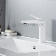 Смеситель для раковины Shevanik S4701C