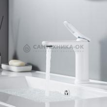Смеситель для раковины Shevanik S4701C