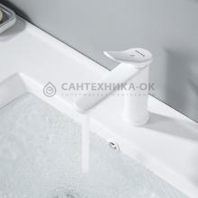 Смеситель для раковины Shevanik S4701C