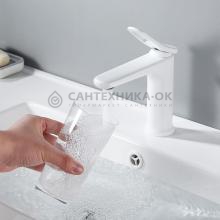 Смеситель для раковины Shevanik S4701C