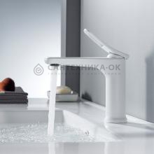 Смеситель для раковины Shevanik S4701C